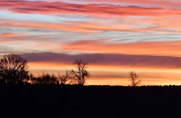 photo La vie naturelle du Périgord